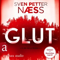Glut - Team Oslo ermittelt, Band 1 (Gekürzt) - Sven Petter Naess - Hörbuch