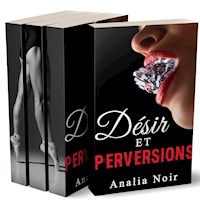 HARD & BAD BOYS: Compilation Histoires Érotiques - Analia Noir - E-Book