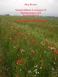 Standortbilanz Lesebogen 25 Markierungen und Begleitmaterial - Jörg Becker - E-Book