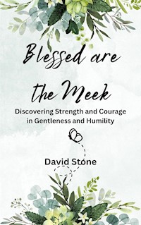 Blessed are the Meek - David Stone - E-Book