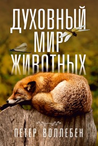 Духовный мир животных (Das Seelenleben Der Tiere) - Петер Воллебен - E-Book