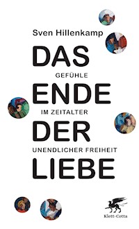 Das Ende der Liebe - Sven Hillenkamp - E-Book