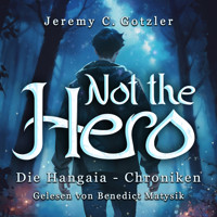 Not the Hero - Jeremy C. Gotzler - Hörbuch