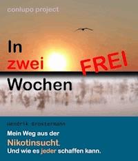 In zwei Wochen frei - Hendrik Broxtermann - E-Book