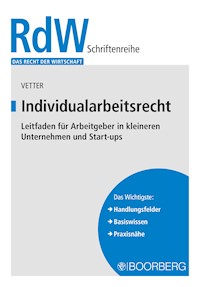 Individualarbeitsrecht - Christian Vetter - E-Book
