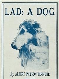 Lad: A Dog - Albert Terhune - E-Book
