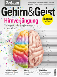 Gehirn&Geist 2/2024 Hirnverjüngung -  - E-Book