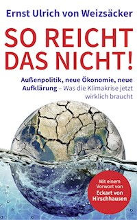So reicht das nicht! - Ernst Ulrich von Weizsäcker - E-Book