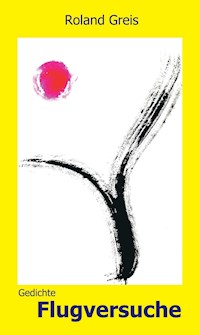 Flugversuche - Roland Greis - E-Book