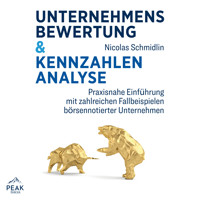 Unternehmensbewertung & Kennzahlenanalyse: Praxisnahe Einführung mit zahlreichen Fallbeispielen börs - Nicolas Schmidlin - Hörbuch