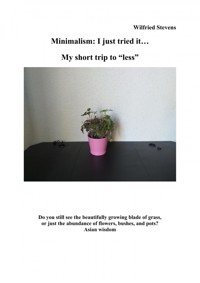Minimalism: I just tried it… - Wilfried Stevens - E-Book