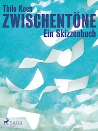 Zwischentöne - Ein Skizzenbuch - Thilo Koch - E-Book