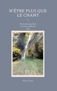 N'être plus que le Chant - Parme Ceriset - E-Book
