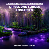 Stress und Sorgen loslassen - Meditation für Entspannung und Schlaf - Raphael Kempermann - Hörbuch