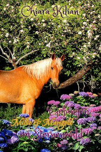 Gefangen im Sternenwald - Chiara Kilian - E-Book