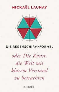 Die Regenschirm-Formel - Mickaël Launay - E-Book