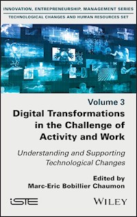 Digital Transformations in the Challenge of Activity and Work -  - E-Book
