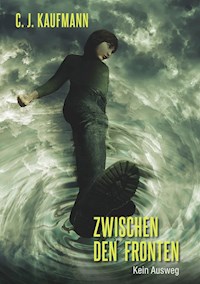 Zwischen den Fronten - Cj Kaufmann - E-Book