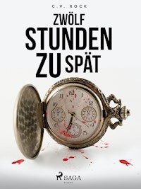 Zwölf Stunden zu spät - C.V. Rock - E-Book