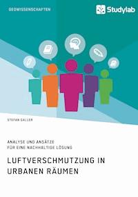 Luftverschmutzung in urbanen Räumen - Stefan Galler - E-Book