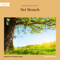 Der Besuch (Ungekürzt) - Jeremias Gotthelf - Hörbuch