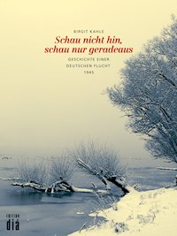Schau nicht hin, schau nur geradeaus - Birgit Kahle - E-Book