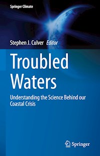 Troubled Waters -  - E-Book