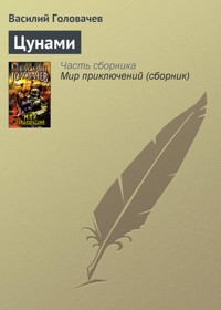 Цунами - Василий Головачёв - E-Book