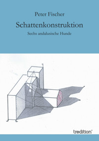 Schattenkonstruktion - Peter Fischer - E-Book