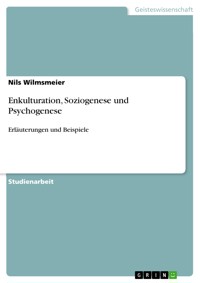Enkulturation, Soziogenese und Psychogenese - Nils Wilmsmeier - E-Book