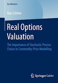 Real Options Valuation - Max Schöne - E-Book