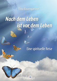 Nach dem Leben ist vor dem Leben - Tina Baumgartner - E-Book