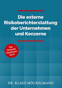 Die externe Risikoberichterstattung der Unternehmen und Konzerne - Klaus Möckelmann - E-Book