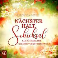 Nächster Halt, Schicksal - Veronica More - Hörbuch