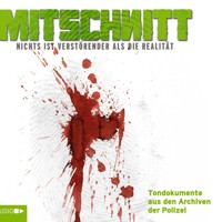 Mitschnitt - Nichts ist verstörender als die Realität, Mitschnitt-Box 1-4 - Anonymus - Hörbuch