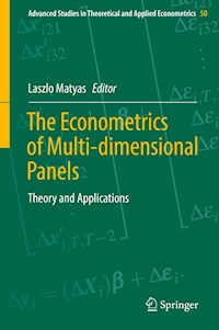 The Econometrics of Multi-dimensional Panels - - E-Book