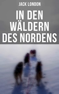 In den Wäldern des Nordens - Jack London - E-Book