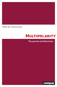 Multipolarity -  - E-Book