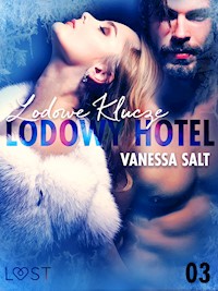 Lodowy Hotel 3: Lodowe Klucze - Opowiadanie erotyczne - Vanessa Salt - E-Book