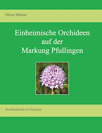 Heimische Orchideen auf der Markung Pfullingen - Oliver Meiser - E-Book