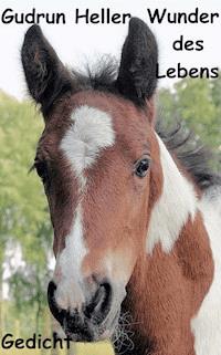 Wunder des Lebens - Gudrun Heller - kostenlos E-Book