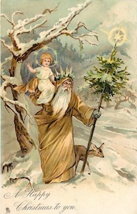 Orígenes Los hijos de los Pioneros Peregrinos Caminantes - R. ELIZABETH S. C. SELIG - E-Book