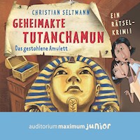 Geheimakte Tutanchamun - Das gestohlene Amulett. Ein Rätselkrimi - Christian Seltmann - Hörbuch