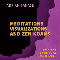Meditations, Visualizations, and Zen Koans - Adrian Tanase - Hörbuch