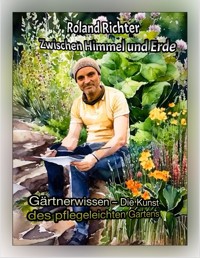 Zwischen Himmel und Erde - Richter Roland - E-Book