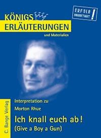 Ich knall euch ab! - Give a Boy a Gun von Morton Rhue. Textanalyse und Interpretation. - Morton Rhue - E-Book