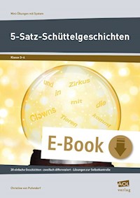 5-Satz-Schüttelgeschichten - Christine von Pufendorf - E-Book