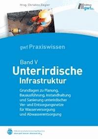 Unterirdische Infrastruktur - - E-Book