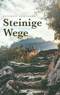 Steinige Wege - Désirée Schindel - E-Book