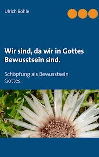 Wir sind, da wir in Gottes Bewusstsein sind. - Ulrich Bohle - E-Book
